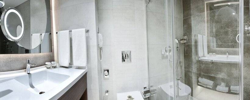 اتاق لوکس, Ankara Alegria Business