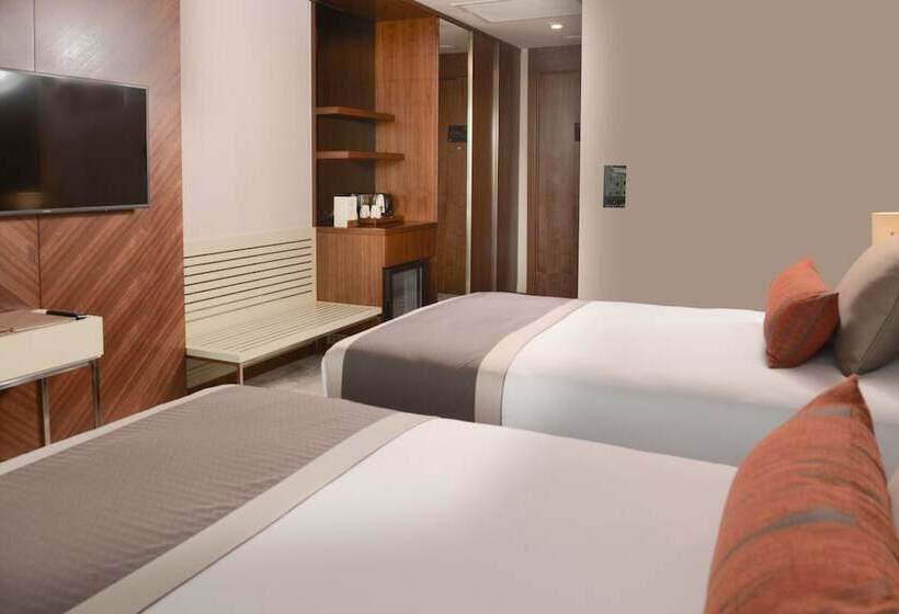 اتاق لوکس, Ankara Alegria Business