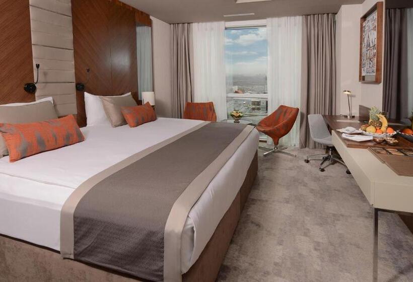 اتاق اکونومی, Ankara Alegria Business