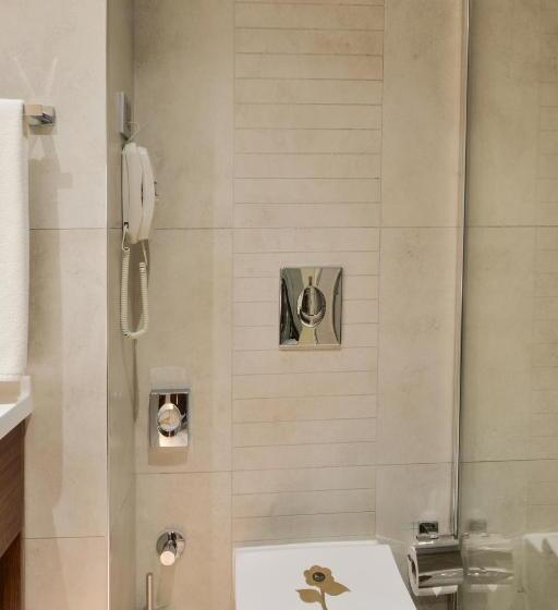 اتاق اکونومی, Ankara Alegria Business