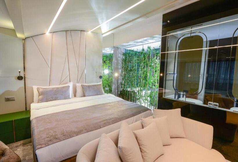 سوئیت با وان آب گرم, Ankara Alegria Business