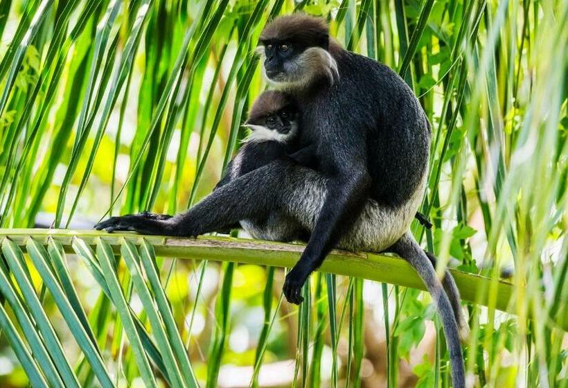 Suíte Deluxe Cama King, Stuthi Villa