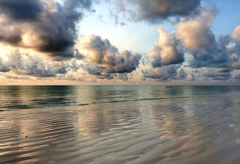 חדר אקונומי, Your Zanzibar Place