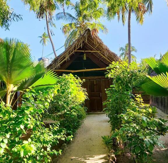 חדר אקונומי, Your Zanzibar Place