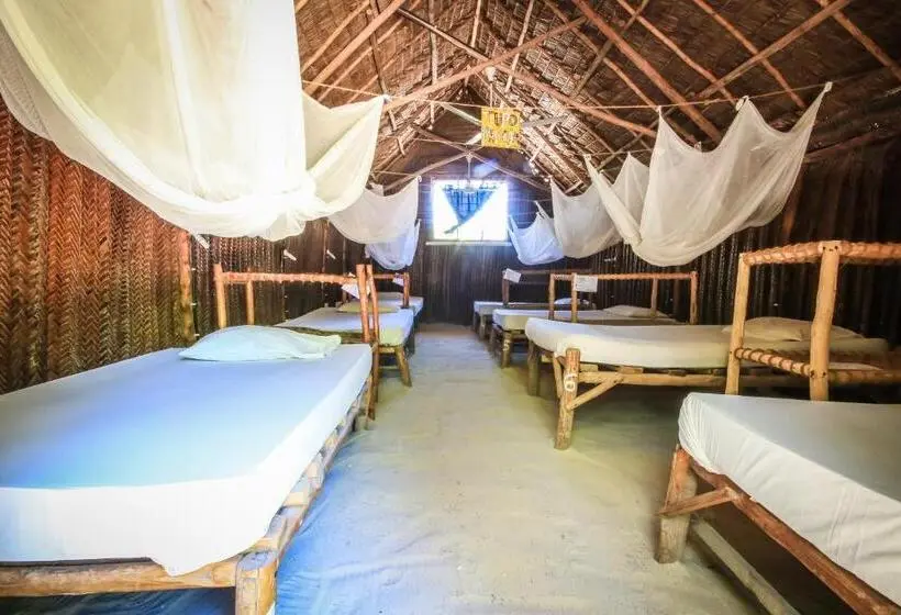 ルームシェアのワンベッド, Your Zanzibar Place