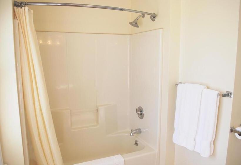 חדר דחוקס עם מיטת קינג, Anne S Washington Inn