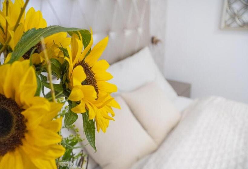 اتاق سوپریور, Casa Perla