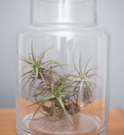 חדר דלוקס עם מיטת קינג, The Lookout Guest House