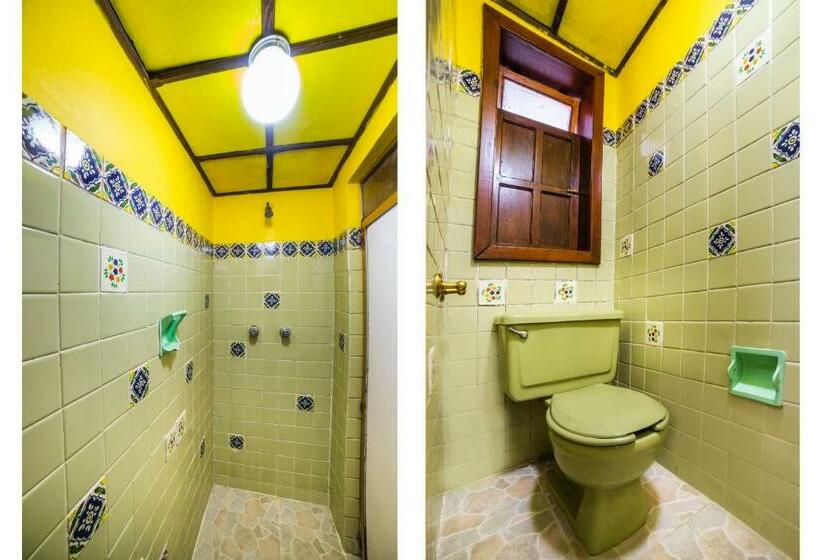 חדר סטנדרט לשלושה, El Mineral