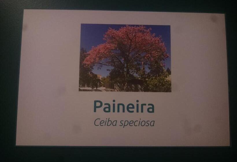 تختخواب در اتاق مشترک, Sangha Urbana   Hostel, Yoga & Meditação