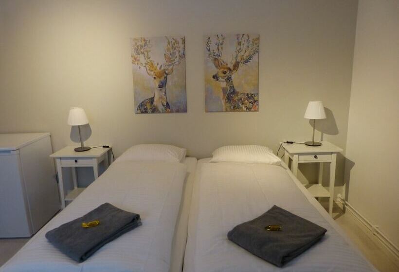 标准间, Sangis Motell Och Camping