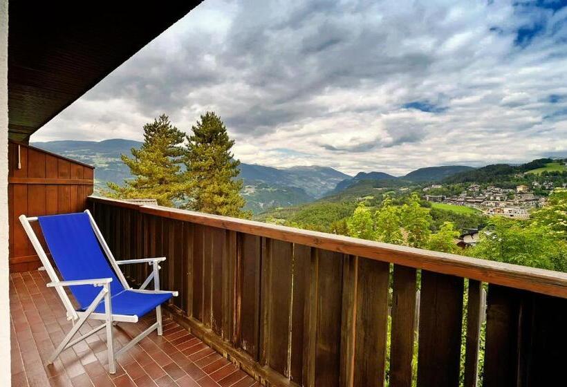 标准间带山景, Pension Fellis