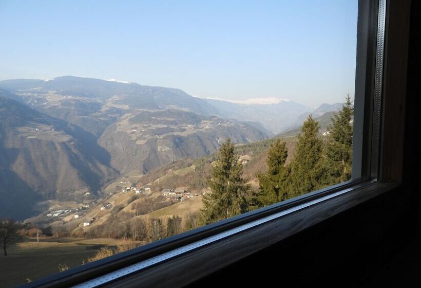 单人经济间, Pension Fellis