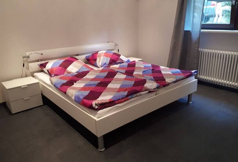 דירת חדר דלוקס, Haus Heidelberg