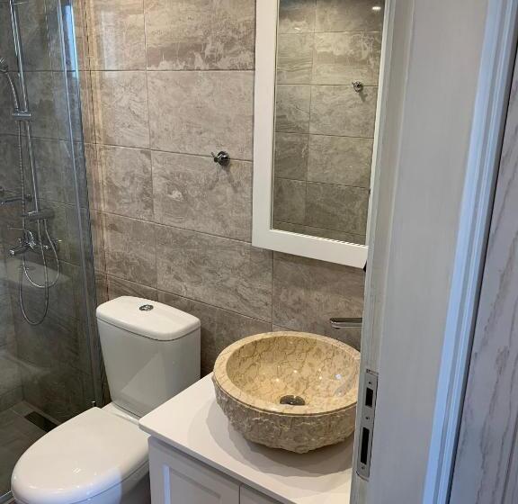 テラス付き1ベッドルームアパートメント, Iliovasilema