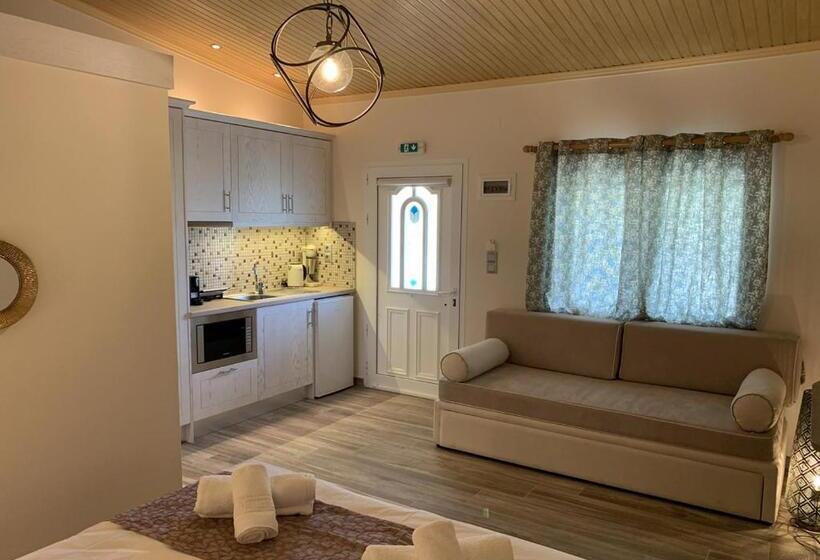 テラス付き1ベッドルームアパートメント, Iliovasilema