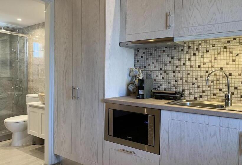 テラス付き1ベッドルームアパートメント, Iliovasilema