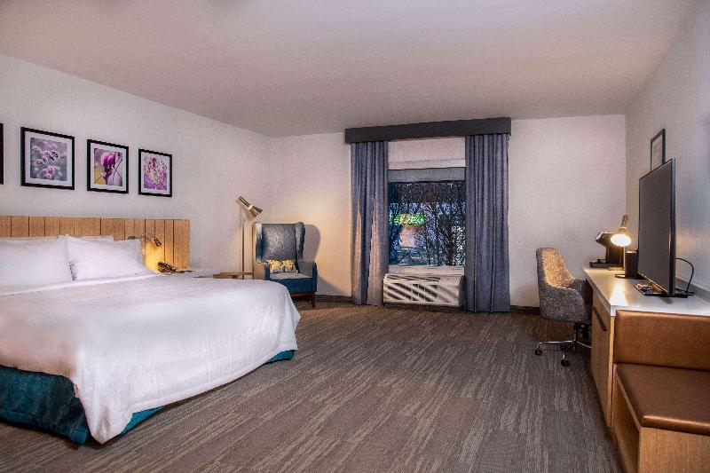 스탠다드 룸 킹사이즈 침대, Hilton Garden Inn Sudbury