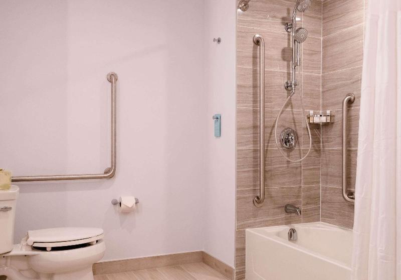 스탠다드 룸 킹사이즈 침대, Hilton Garden Inn Sudbury