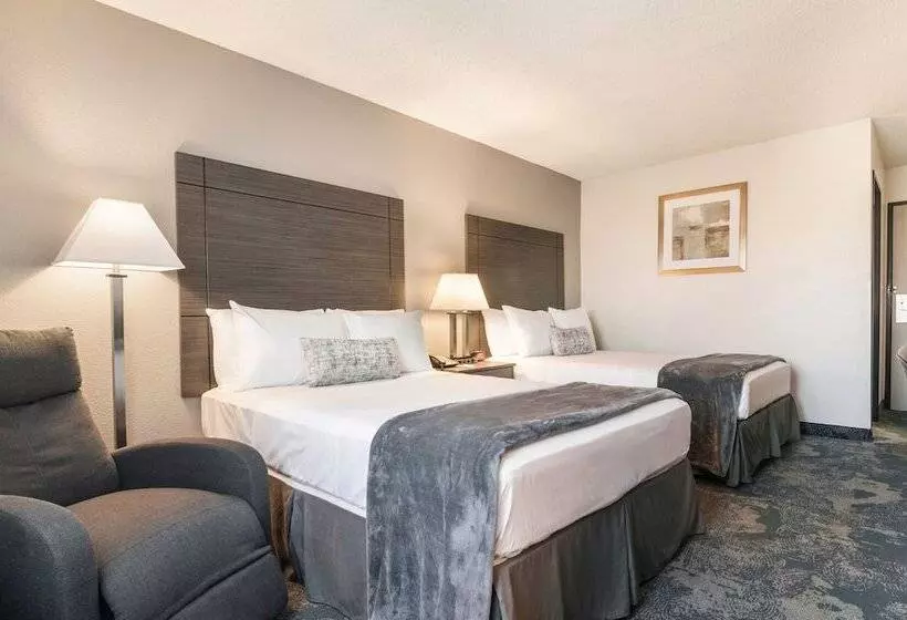 اتاق استاندارد, American Inn & Suites Metro Airport