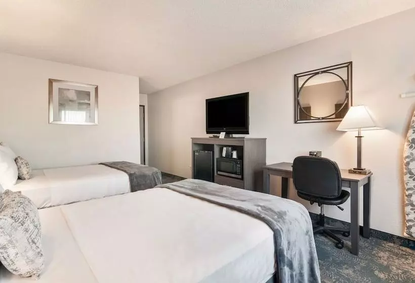 اتاق استاندارد, American Inn & Suites Metro Airport