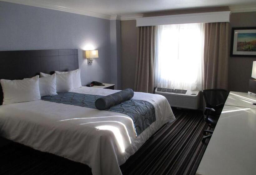 חדר סטנדרט עם מיטת קינג, Best Western Plus Diamond Valley Inn