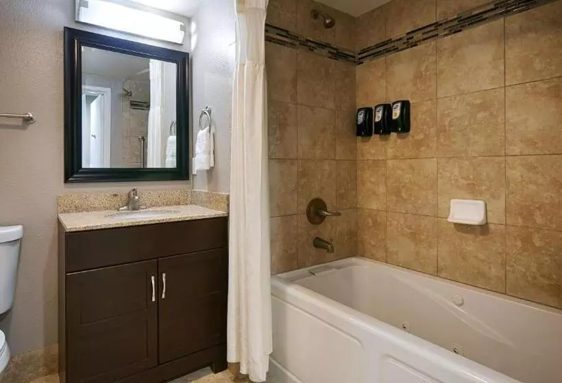 اتاق استاندارد با تخت بزرگ, Best Western Plus Diamond Valley Inn