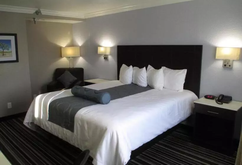اتاق استاندارد برای معلولان, Best Western Plus Diamond Valley Inn