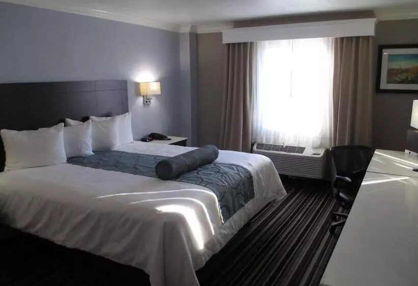 اتاق استاندارد برای معلولان, Best Western Plus Diamond Valley Inn