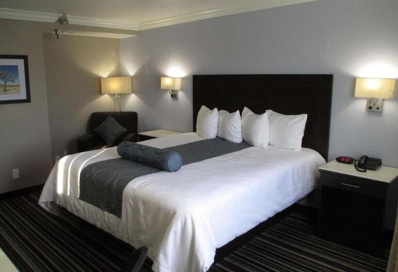 غرفة قياسية لذوى الاحتياجات الخاصة, Best Western Plus Diamond Valley Inn