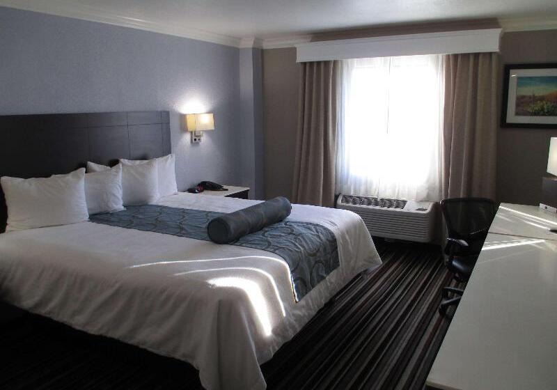 חדר סטנדרט מותאם לאדם עם מוגבלויות, Best Western Plus Diamond Valley Inn