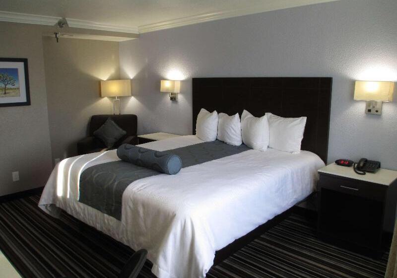 غرفة قياسية لذوى الاحتياجات الخاصة, Best Western Plus Diamond Valley Inn