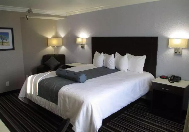 اتاق استاندارد برای معلولان, Best Western Plus Diamond Valley Inn