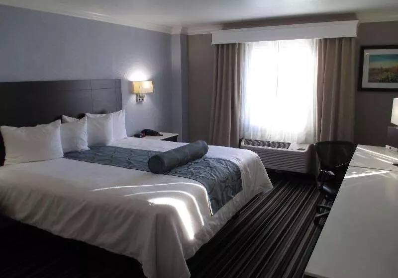 اتاق استاندارد با تخت بزرگ, Best Western Plus Diamond Valley Inn