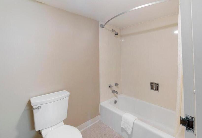 高级客房, OYO Hotel Port Allen LA I-10 West