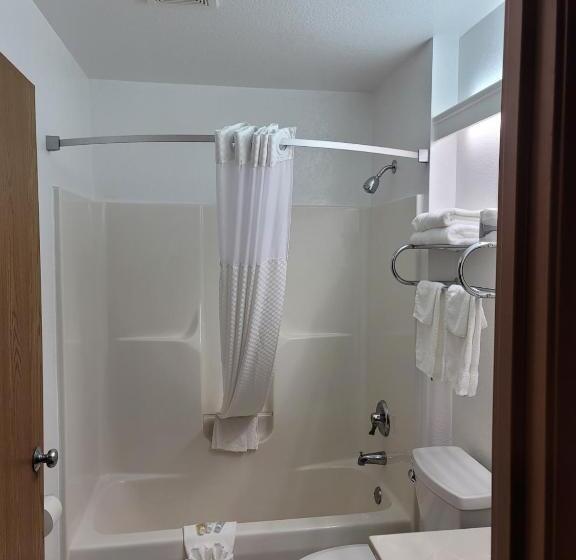 Студия Deluxe, Super 8 By Wyndham Ionia Mi