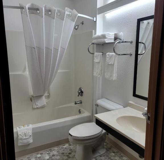 디럭스 스튜디오, Super 8 By Wyndham Ionia Mi