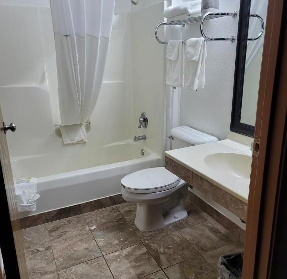 스탠다드 룸 킹사이즈 침대, Super 8 By Wyndham Ionia Mi