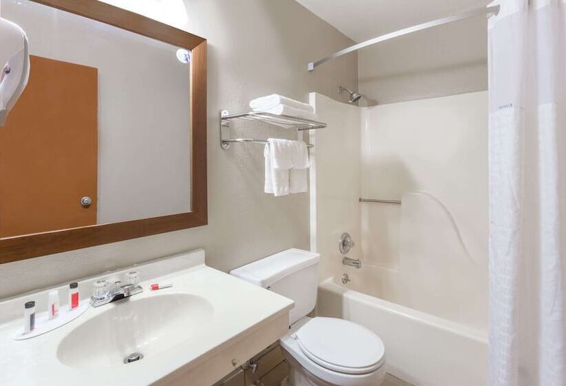 Quarto Estandar 2 Camas Casal, Super 8 By Wyndham Iowa City/coralville