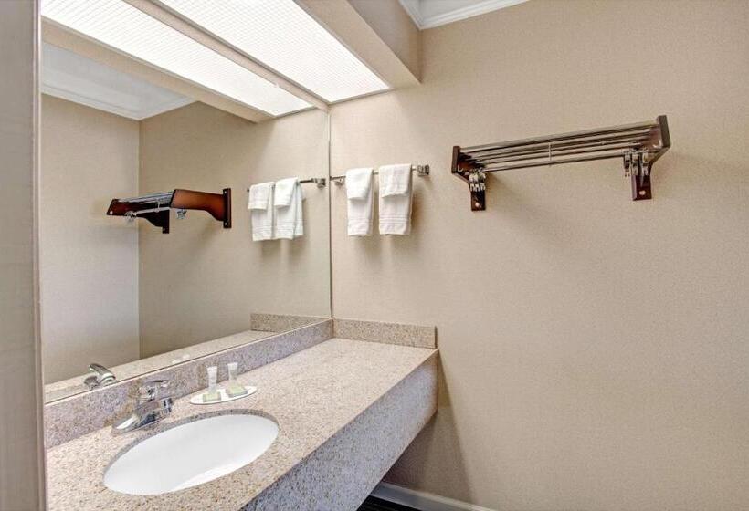 스탠다드 룸, Super 8 By Wyndham Knoxville East