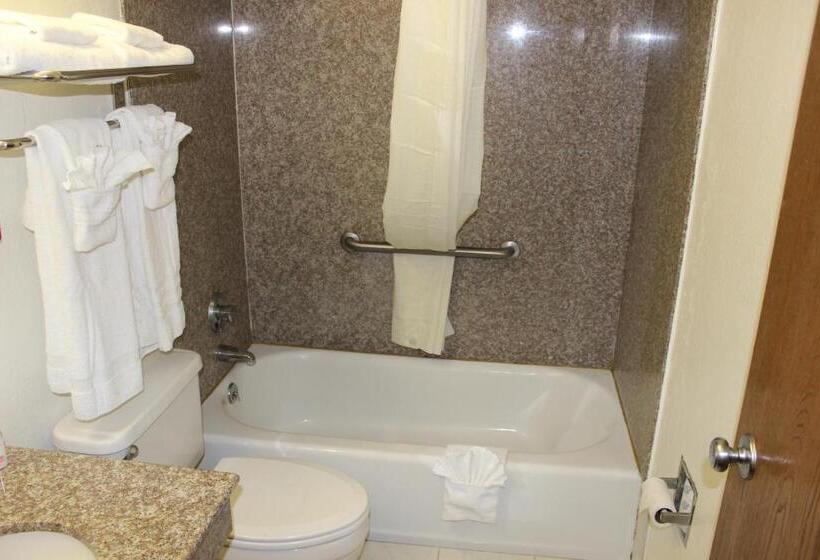 חדר סטנדרט מותאם לאדם עם מוגבלויות, Super 8 By Wyndham Tuscaloosa