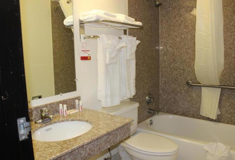 חדר דלוקס, Super 8 By Wyndham Tuscaloosa