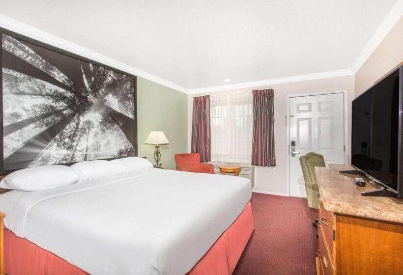 스탠다드 룸 킹사이즈 침대, Upper Lake Inn & Suites