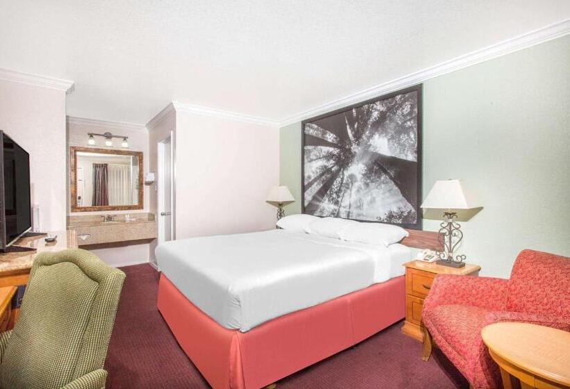 身障者適用スタンダードルーム, Upper Lake Inn & Suites