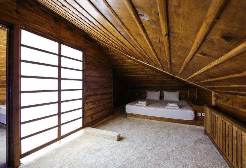 Studio Standard, Leshten