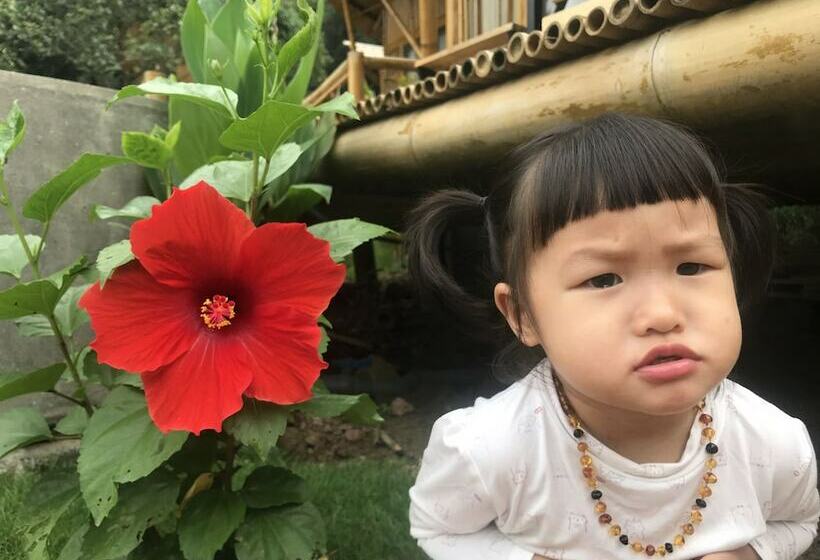 خانه 1 خوابه, Trang An Lamia Bungalow