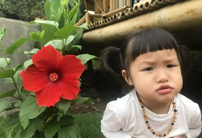 خانه 1 خوابه, Trang An Lamia Bungalow