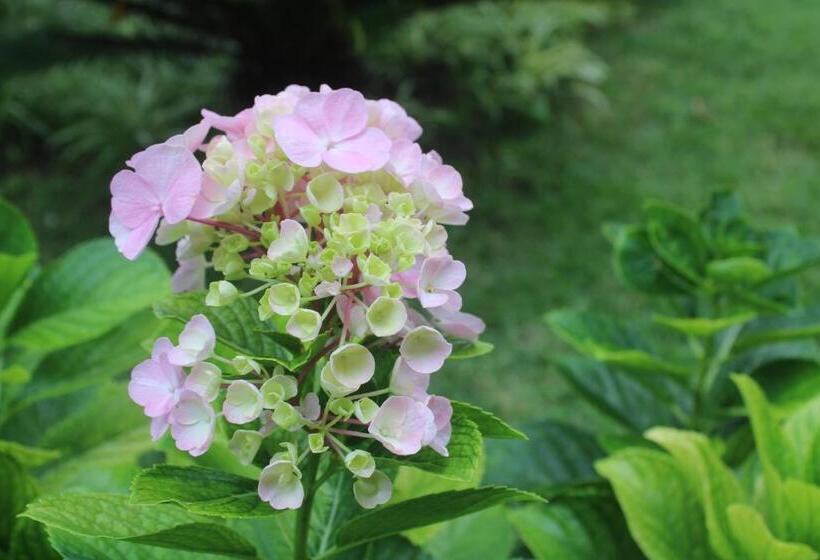 샬레, Cantinho Das Flores