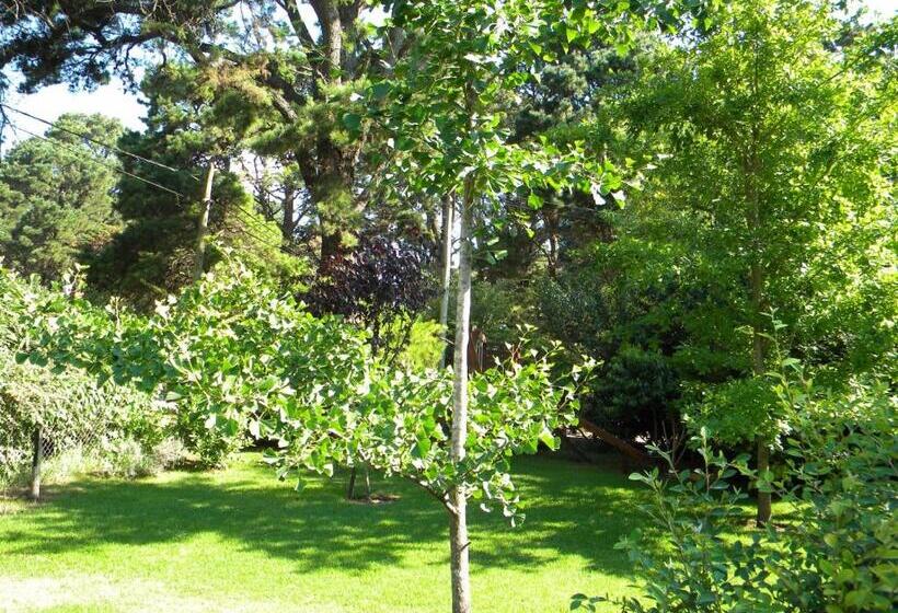 キャビン, Casa Los Tilos