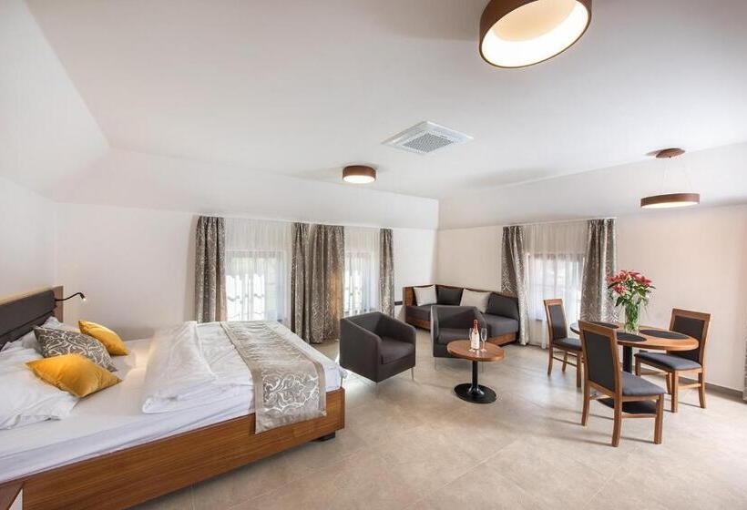 إستوديو قياسى, Residence Hluboká